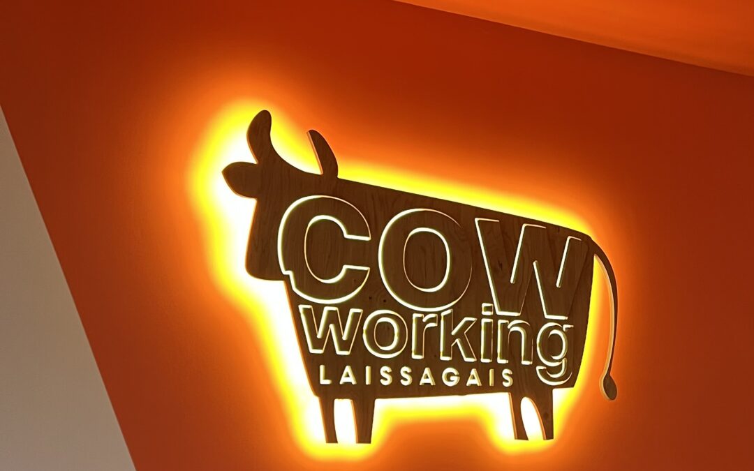 travailler au Cow-Working.