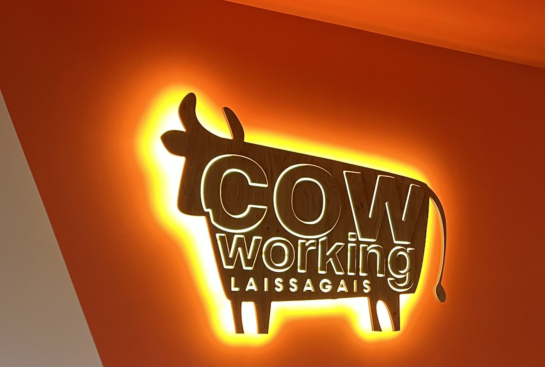 cow working laissagais